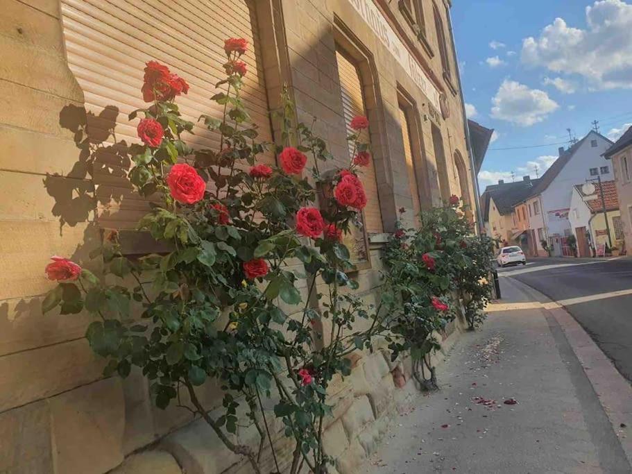 Wohlfuehloase Auf 133-160Qm In Der Idylle An Der Nahe Διαμέρισμα Duchroth Εξωτερικό φωτογραφία