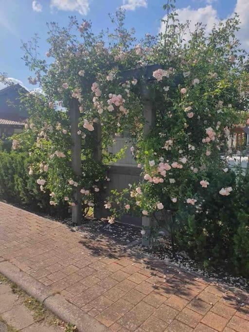 Wohlfuehloase Auf 133-160Qm In Der Idylle An Der Nahe Διαμέρισμα Duchroth Εξωτερικό φωτογραφία